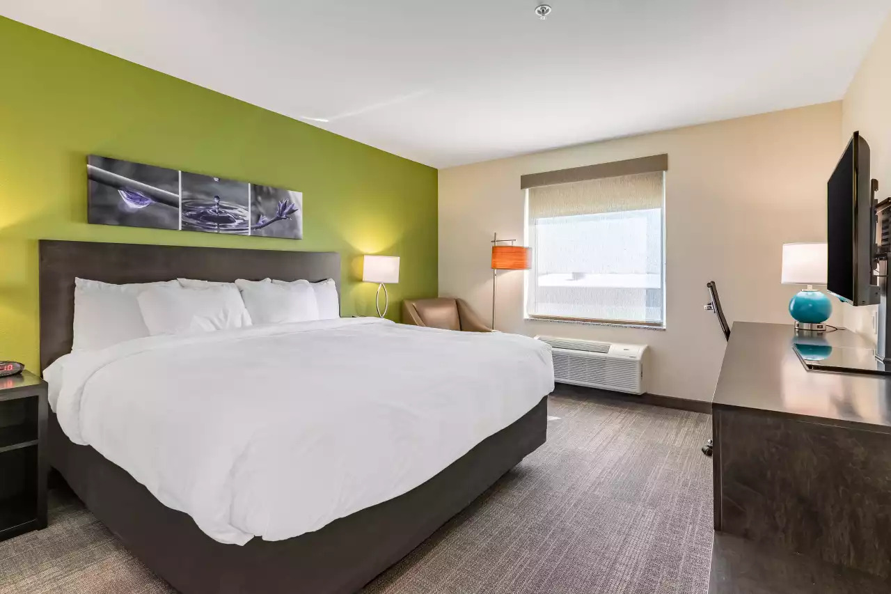 one-br-king-standard-1