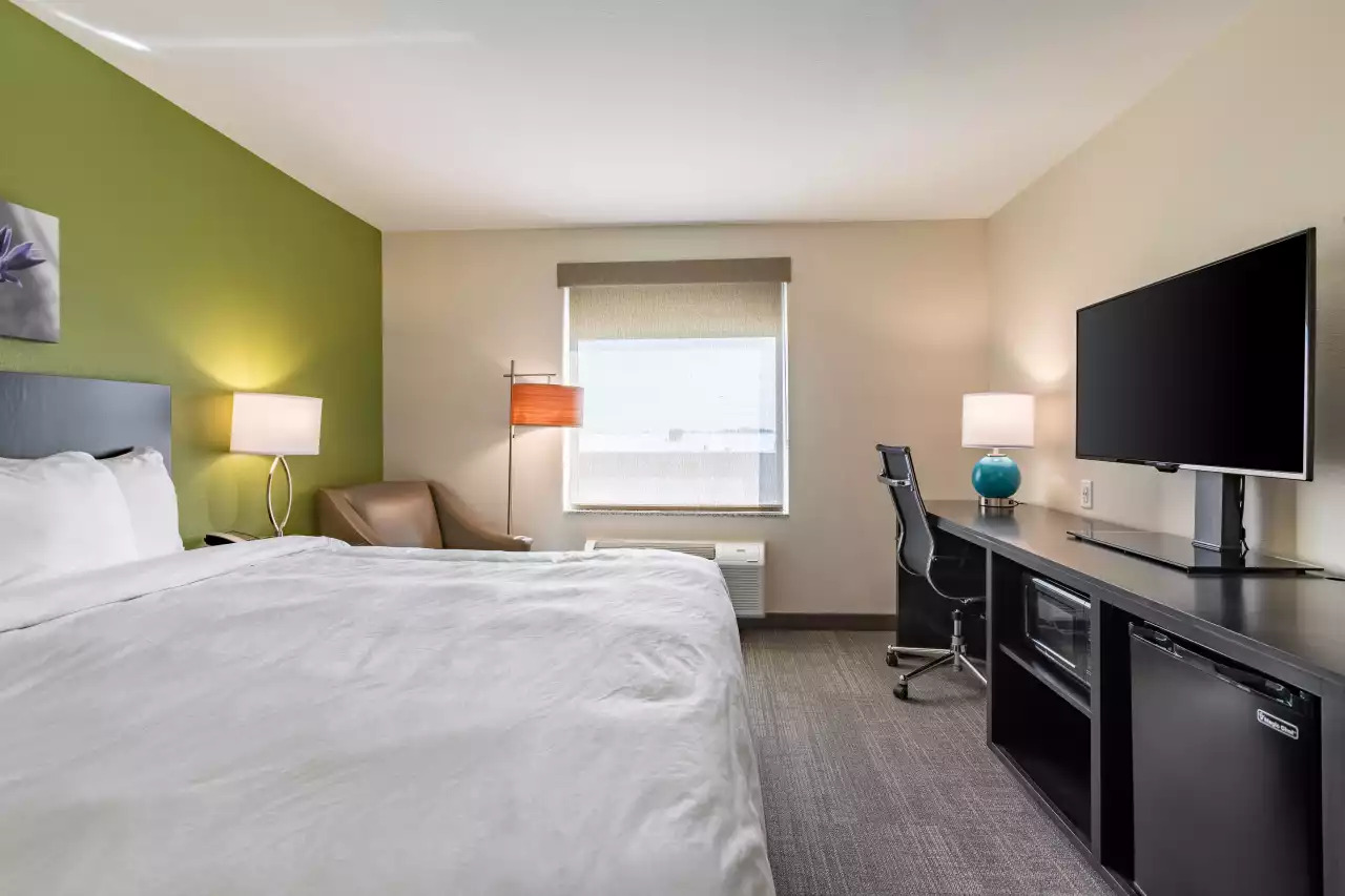 one-br-king-standard-2