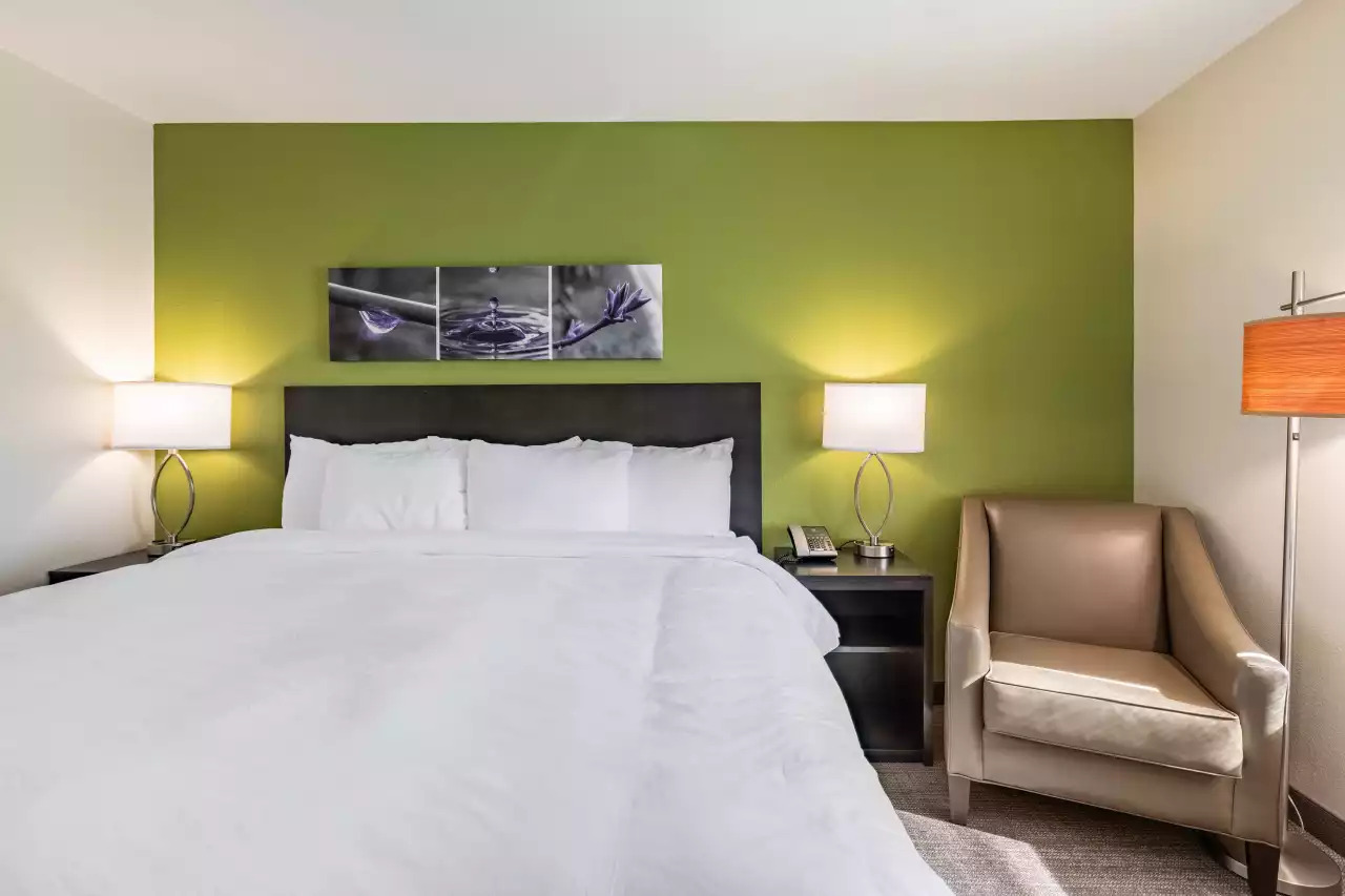 one-br-king-standard-3