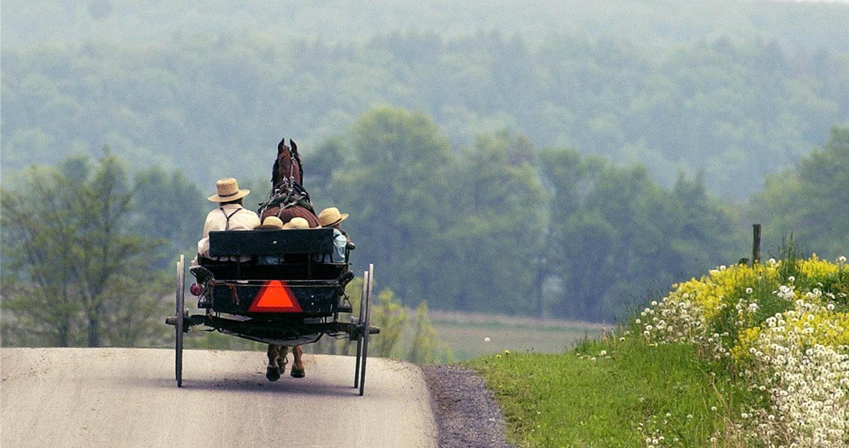 Amish-Buggy
