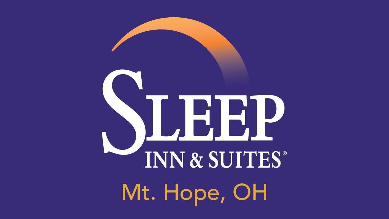 Sleep Inn Hotel logo
